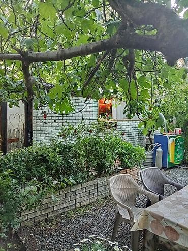 Salam yalniz vatcap ile ev yeni guneslide yerlesir tek otagdir