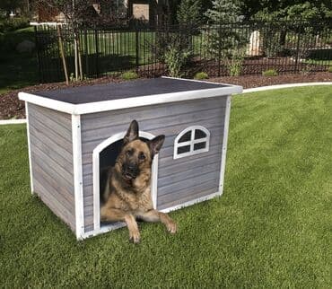 sort itler: Məhsul: Taxta it evi - Material: Keyfiyyətli taxta panellər, möhkəm — 2