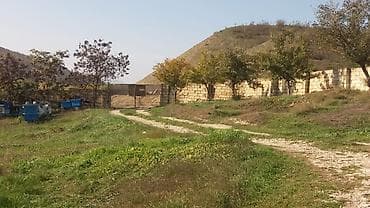 samaxi villa kiraye: 580 sot, Kənd təsərrüfatı, Makler, Kupça (Çıxarış) — 3