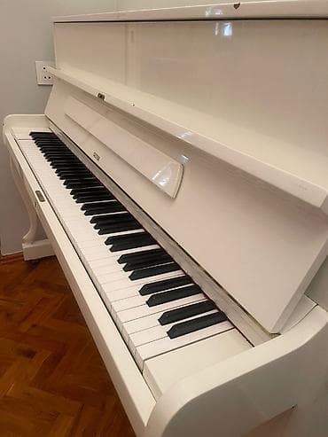 İncəsənət və kolleksiyalar: Almaniya istehsali, Piano Tarqovuda yerlesir. Real aliciya endirim — 4