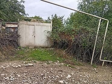 Kənd təsərrüfatı, Mülkiyyətçi