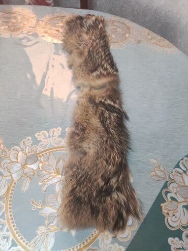 kəsilmiş əl şəkilləri: Palto üçün xəzlər qara rəngli - 45 manat,boz rəngli. -10 manat sarı — 2