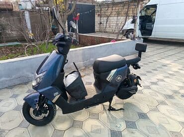 elekdirikli sukutur: - AIMA, 2024 il — 2