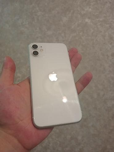 IPhone 11, Ağ