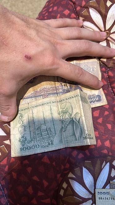 turk sazlari: Kolleksiya üçün köhnə kağız pullar dəsti Təsvir: - Türkiyə — 2