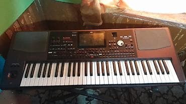 piknik setleri: Sintezator, Korg — 6