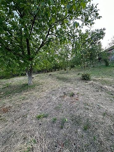 sabranda: 22 sot, Tikinti, Mülkiyyətçi, Kupça (Çıxarış) — 3