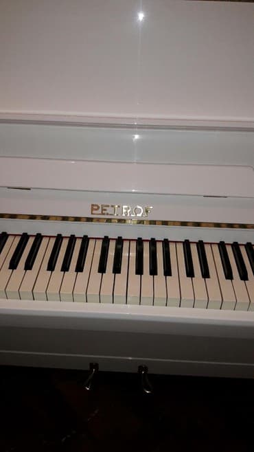 terlan elekberov: Pianino PETROF cexya stehsalı. Ideal vəziyyədə Cadırılma və köklənmə — 1