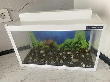 gence akvarium: Dördbucaq akvarium, Boş, 20 l, Ünvandan götürmə, Ödənişli çatdırılma — 1
