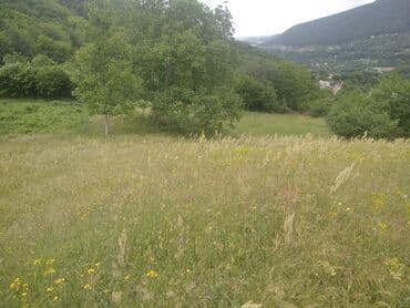 xacmazda torpaq: 60 соток, Для строительства, Собственник, Купчая — 5