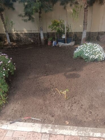 саженцы малины тарус: Qazon landşaft #qazon #torf #torf250litrlik Ekolayf #ekolayf balaken — 17