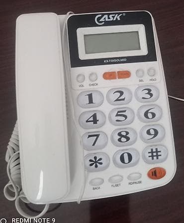 philips xenium 9@9h: Stasionar telefon Simli — 1