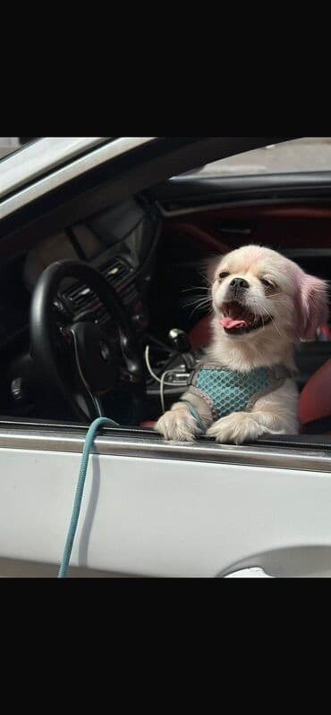 уход за больными на дому: 300 azn — 1