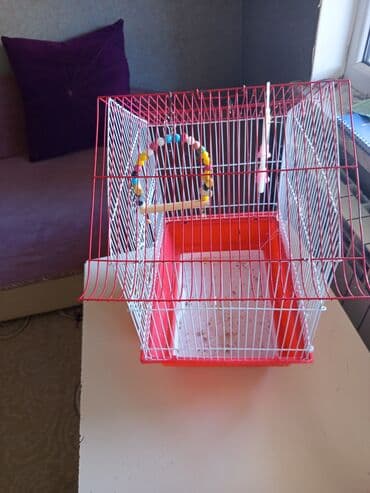 qəfəslər: Qəfəs – xırda quşlar üçün - Material: möhkəm metal barmaqlıqlar — 2