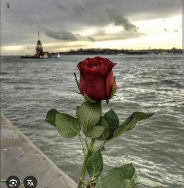 qubada ev: 70 kv. m, 3 otaqlı, Qaz, İşıq, Su — 1