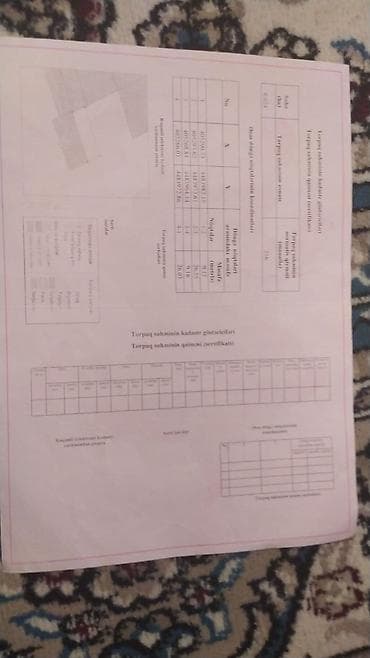 torpag sahesi: Tikinti — 9