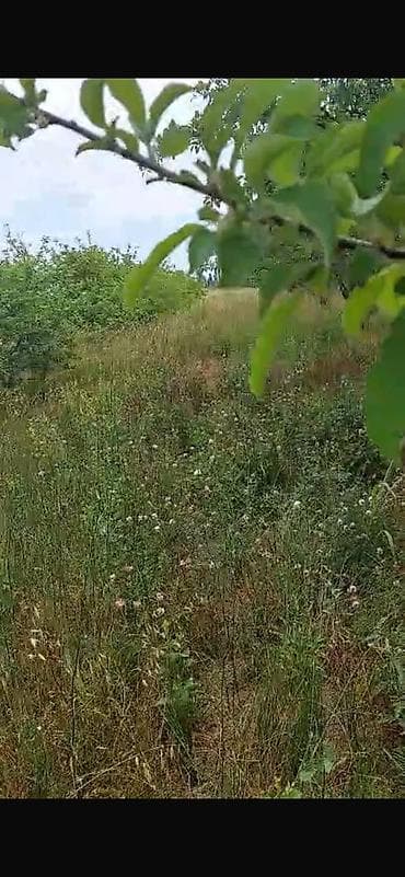 bolt hansi masinlari qebul edir: 150 sot, Biznes üçün, Barter mümkündür, Kupça (Çıxarış) — 10