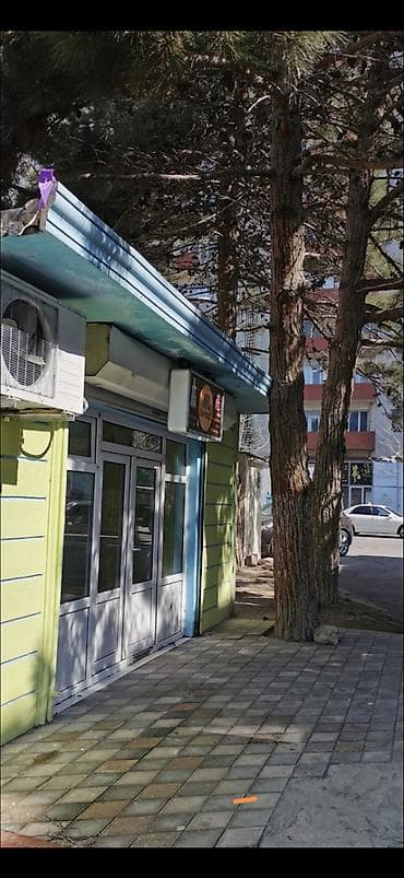 Mağaza icarəyə verilir, 37 kv, su sanuzel, kondisioner. Arxa qapısı da at lalafo.az Mağaza icarəyə verilir, 37 kv, su sanuzel, kondisioner. Arxa qapısı da