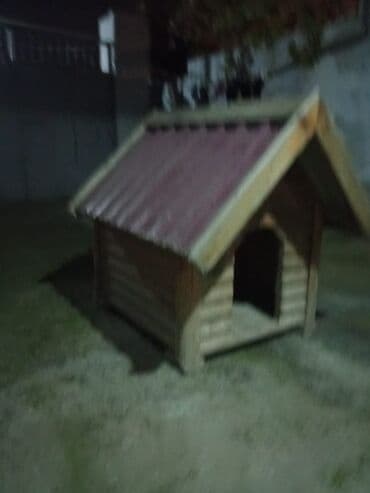 yumurta qoyan heyvanlar: Taxta it evi 100mt×100mt hundurluk 1.15mt — 2