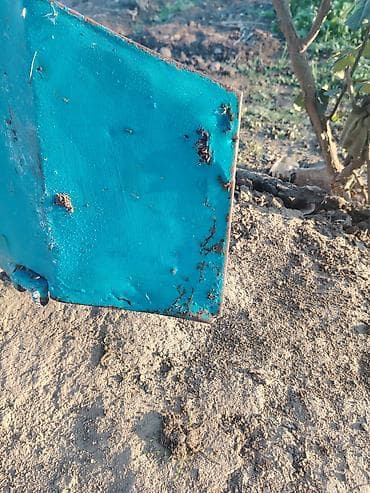 opel omega universal: Məhsul: Traktor kabini (köhnə model, mavi rəng) Təsvir: - Universal — 6