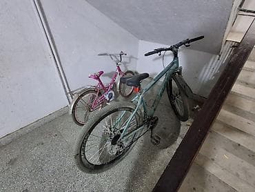 Velo: Vegas dağ velosipedi - Çərçivə: yüngül alaşımlı, 29” təkər