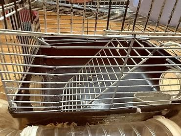Heyvanlar üçün mallar: Hamster üçün tam dəst 2 mərtəbə qəfəs - Metall karkaslı, çıxarılan — 3