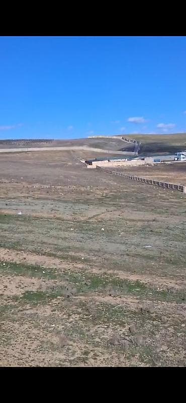 Kənd təsərrüfatı, Barter mümkündür