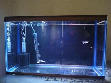 Akvariumlar: Dördbucaq akvarium, Boş, 30 l, Ünvandan götürmə — 1