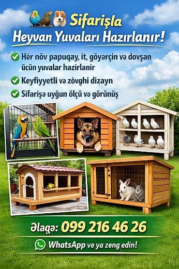 heyvan sekilleri yukle: Sifarişlə Heyvan Yuvaları hazırlanır! - Papuqay, it, göyərçin və — 1