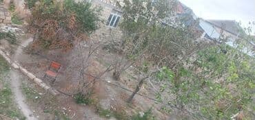 mx group inşaat: 2 sot, Tikinti, Mülkiyyətçi, Kupça (Çıxarış) — 8