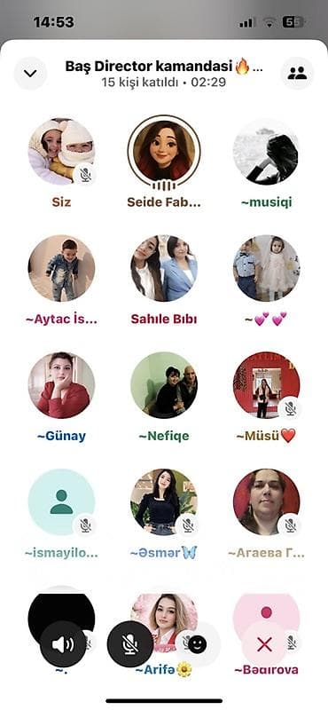 təbii saclar: Faberlic saç boyaları və açıcıları – evdə peşəkar nəticə üçün — 2