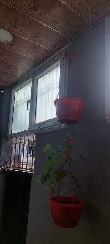 Ev üçün dekor: İkinəfərlik çarpayı, Dolab — 7