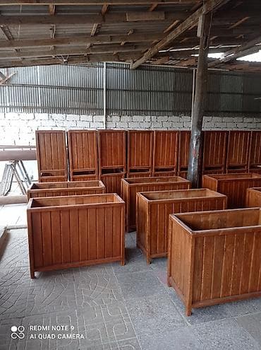 Güldan.Gül qabılar. endirim 2026 Dipçəklər. Güllər və agaclar əkmək