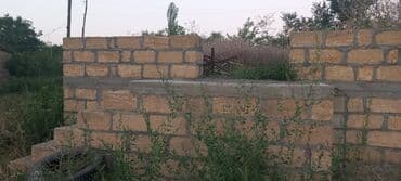 mağaza üçün yer icarəyə götürürəm: Ünvan: Qusar şəhəri Ləyər kəndi (ləzgi ləyər) 1hk 68 sot bağ yeri — 12