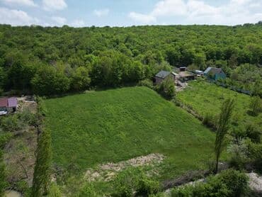 qara qarayev kiraye: 40 sot, Biznes üçün, Mülkiyyətçi, Kupça (Çıxarış) — 3