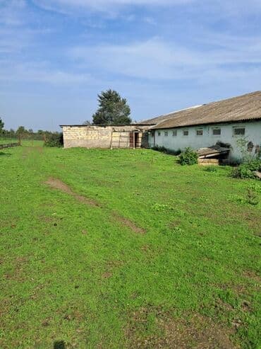 bağ evi satışı: Kənd təsərrüfatı — 21