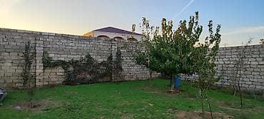 badamdarda kirayə ev: Bakı, Maştağa qəs., 130 kv. m, 4 otaqlı, Hovuzsuz, Qaz, İşıq, Su — 7