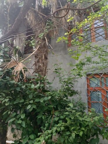 meyve tərəvəz: RT Arxasında körpüdən sağda 2 ci küçədə 2 mərtəbəli 8 otaqlı həyət evi — 28