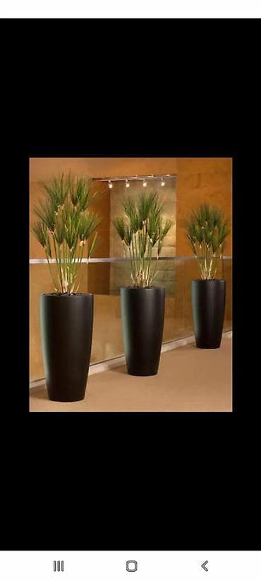 Müasir dizaynlı dekorativ qablarda peyzaj üçün qablar - Material