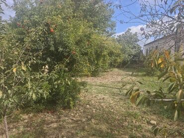 аренда земельных участков сельскохозяйственного назначения: 5 sot, Kənd təsərrüfatı, Texniki pasport — 2