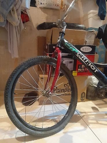 Şəhər velosipedi 24", sürətlərin sayı: 1