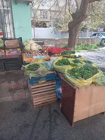 sabunçu quş bazarı: Salam hazır meyvə biznesi satılır gündəlik nirmal alveri olur — 3