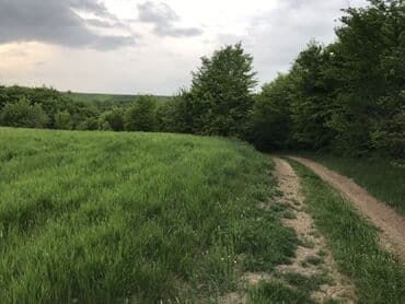 xacmazda torpaq: 128 соток, Для сельского хозяйства, Купчая — 5