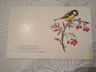 10 cent kaç manat: Мини открытки советского периода. Цена одной штуки 5 манат — 1