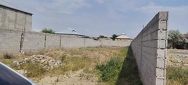 premium cay fabriki: Tikinti — 4
