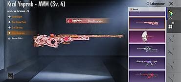 Digər: Hesab səviyyəsi 81 level Kolleksion 61 Destansı 100 Buz diyarı 4 level — 5