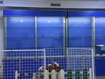 divan satisi: Aptek vitrini satılır təcili. işlənməyib obyektdə qalıb deyə satılır — 1
