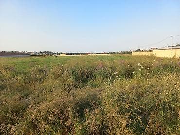 gunəşlidə: 24 sot, Tikinti, Mülkiyyətçi, Kupça (Çıxarış) — 9