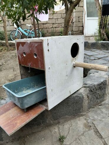 goyərcin yuvaları: Kerella yuva 7 eded 4 Iran qefesi 10 eded 10 azn Balaca yuva 47 eded — 4