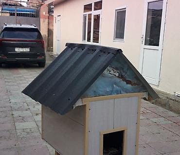 pişik ucuz: Məhsul: Açıq havada istifadə üçün pişik evi Təsvir: Qapalı pişik evi — 2